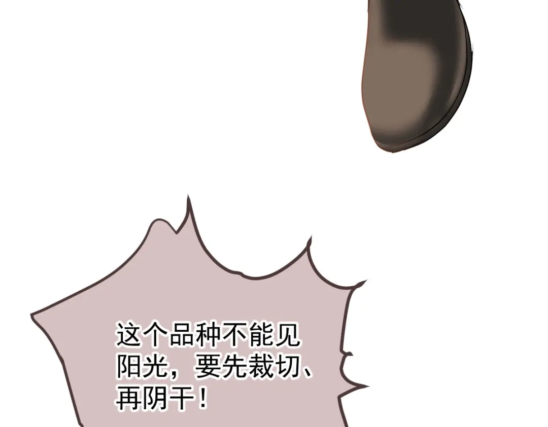 凯洛斯山的十叶花 第59话 毒药草 第41页