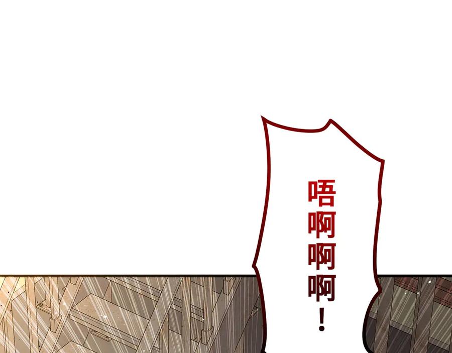 第251页