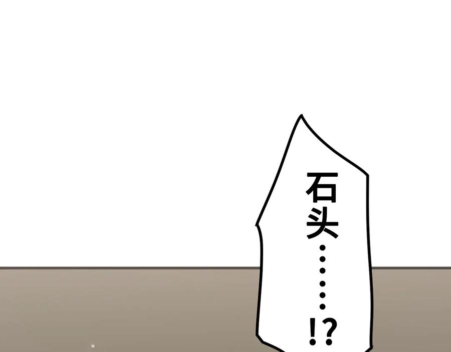 第255页