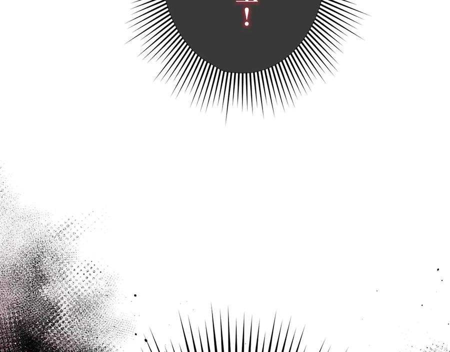 第224页