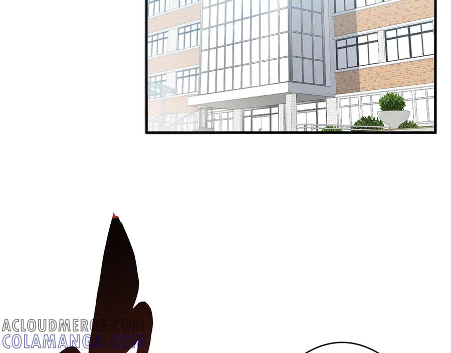 第233页