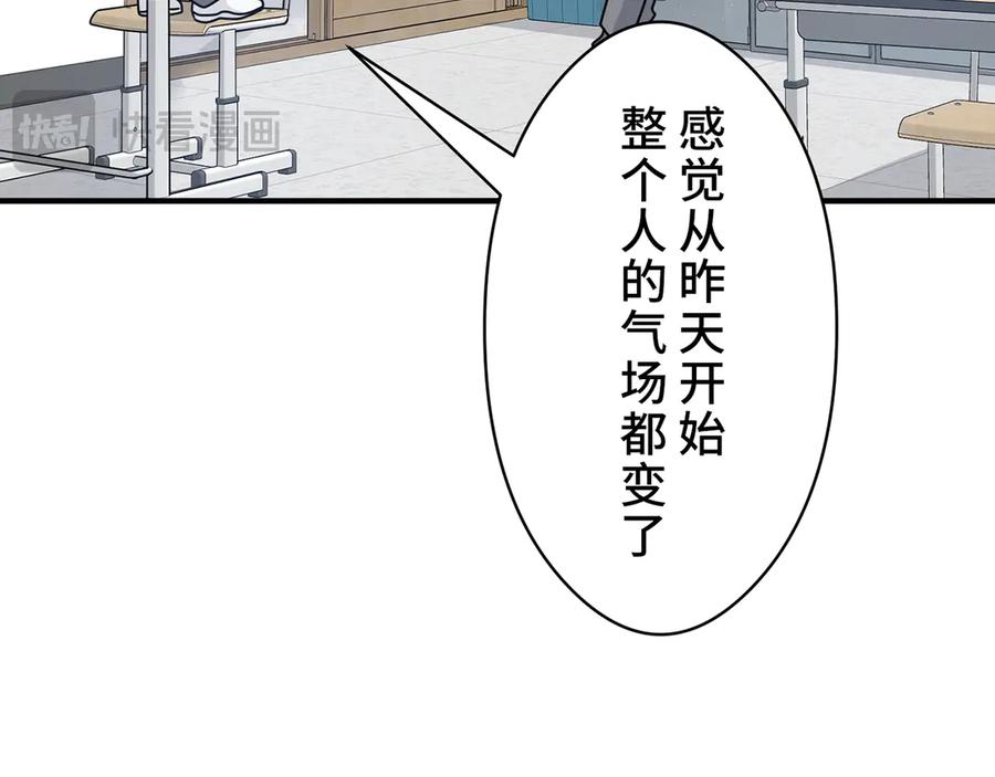 第239页