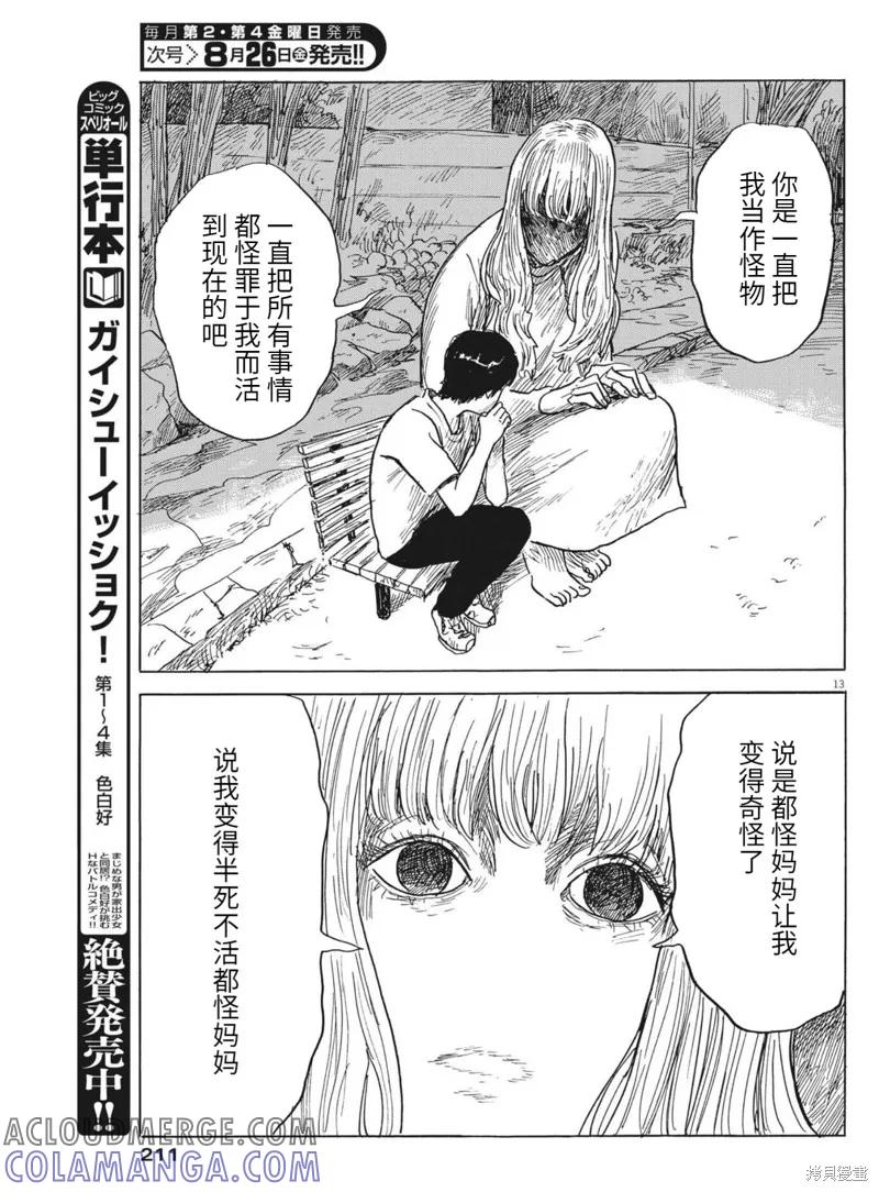 第13页