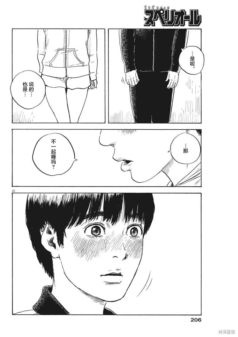 第20页