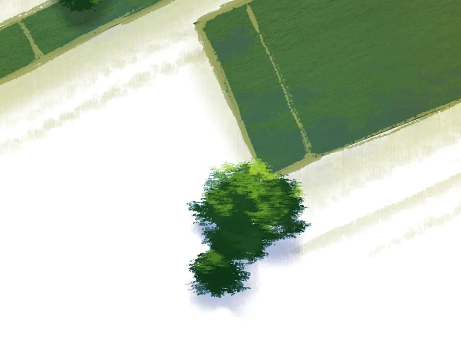 第294页