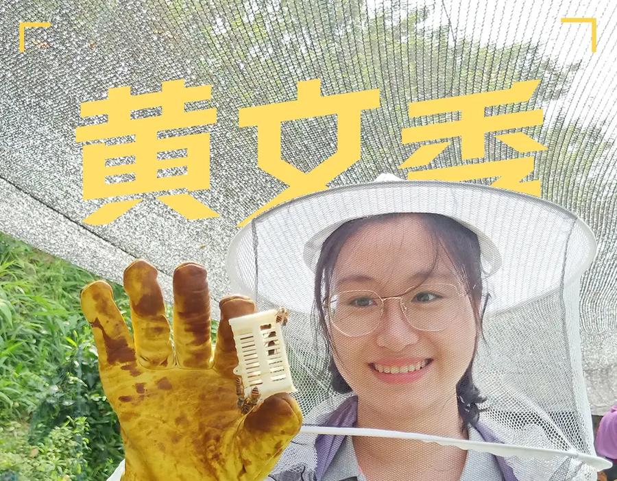 第453页