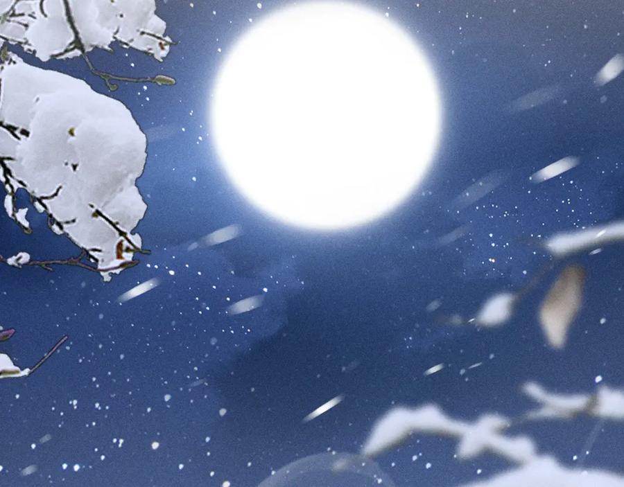 第162页