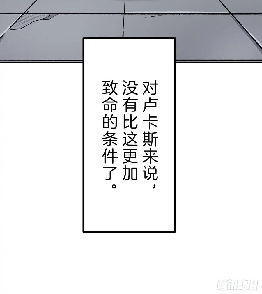 第244页
