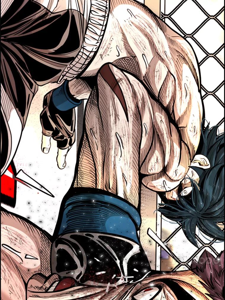 第146页