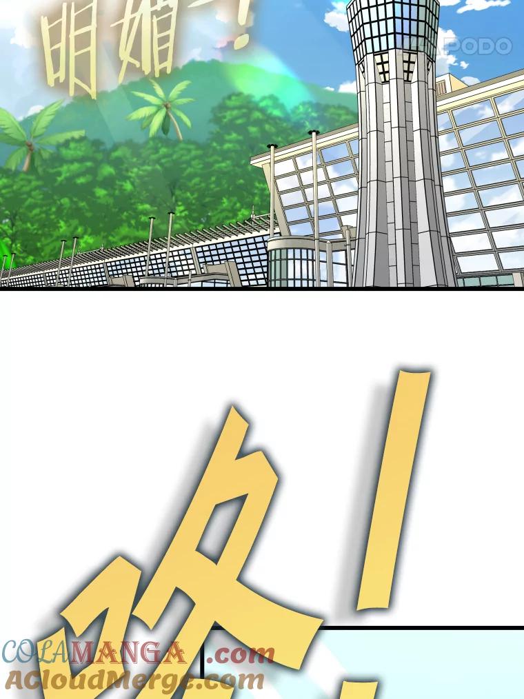 第231页