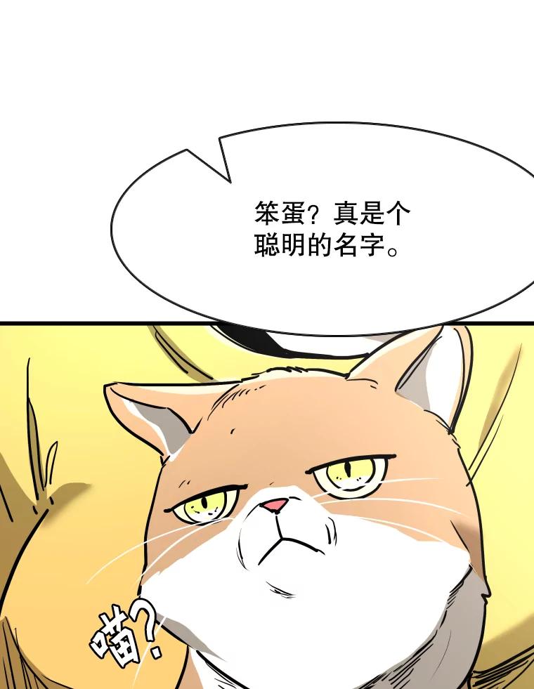 第294页