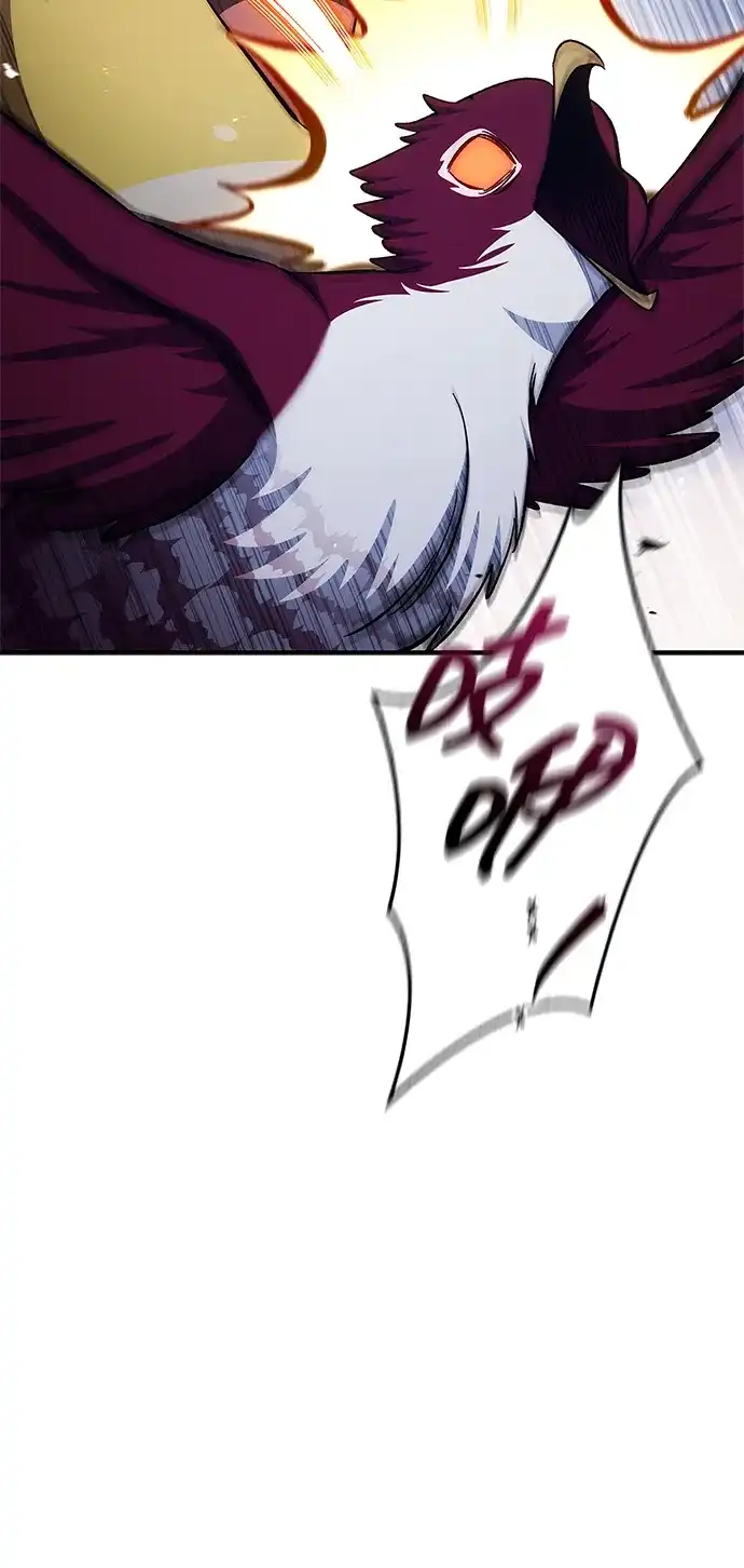第223页