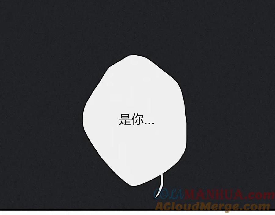 第221页