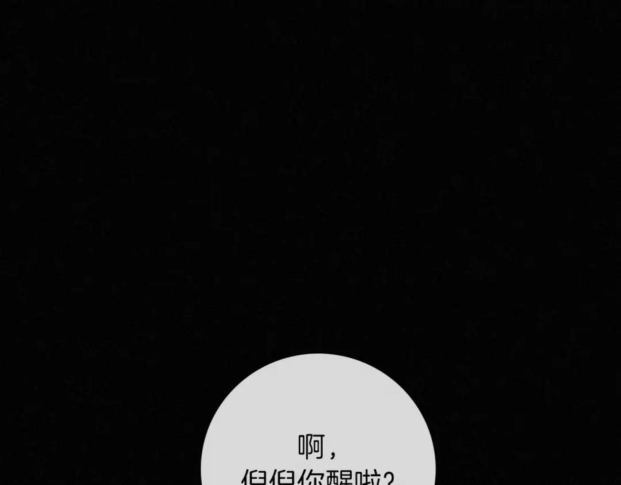 第235页
