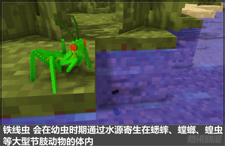 第51页