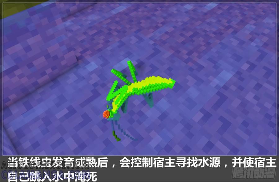 第52页