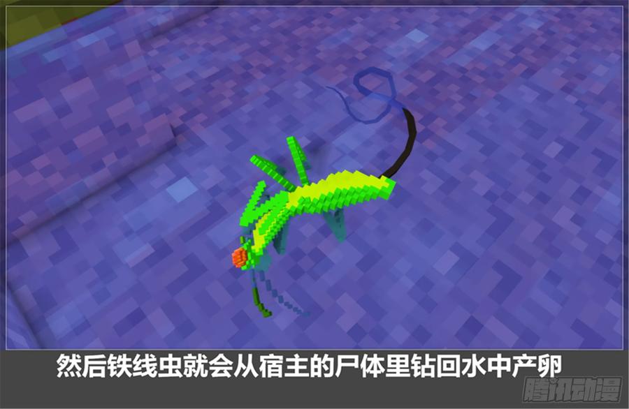 第53页