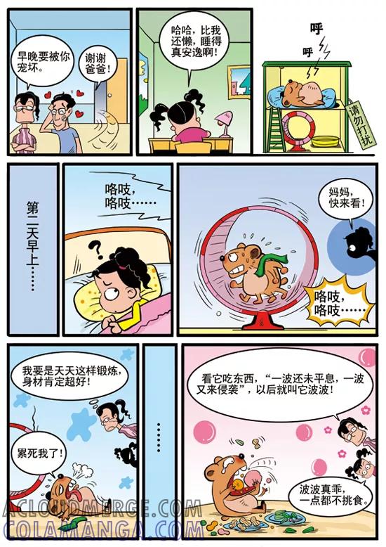 第3页