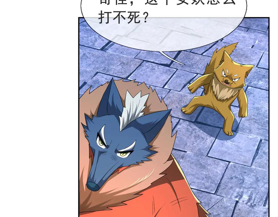 第164页