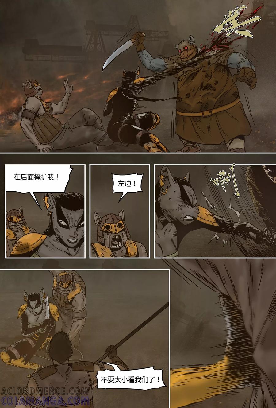 第5页