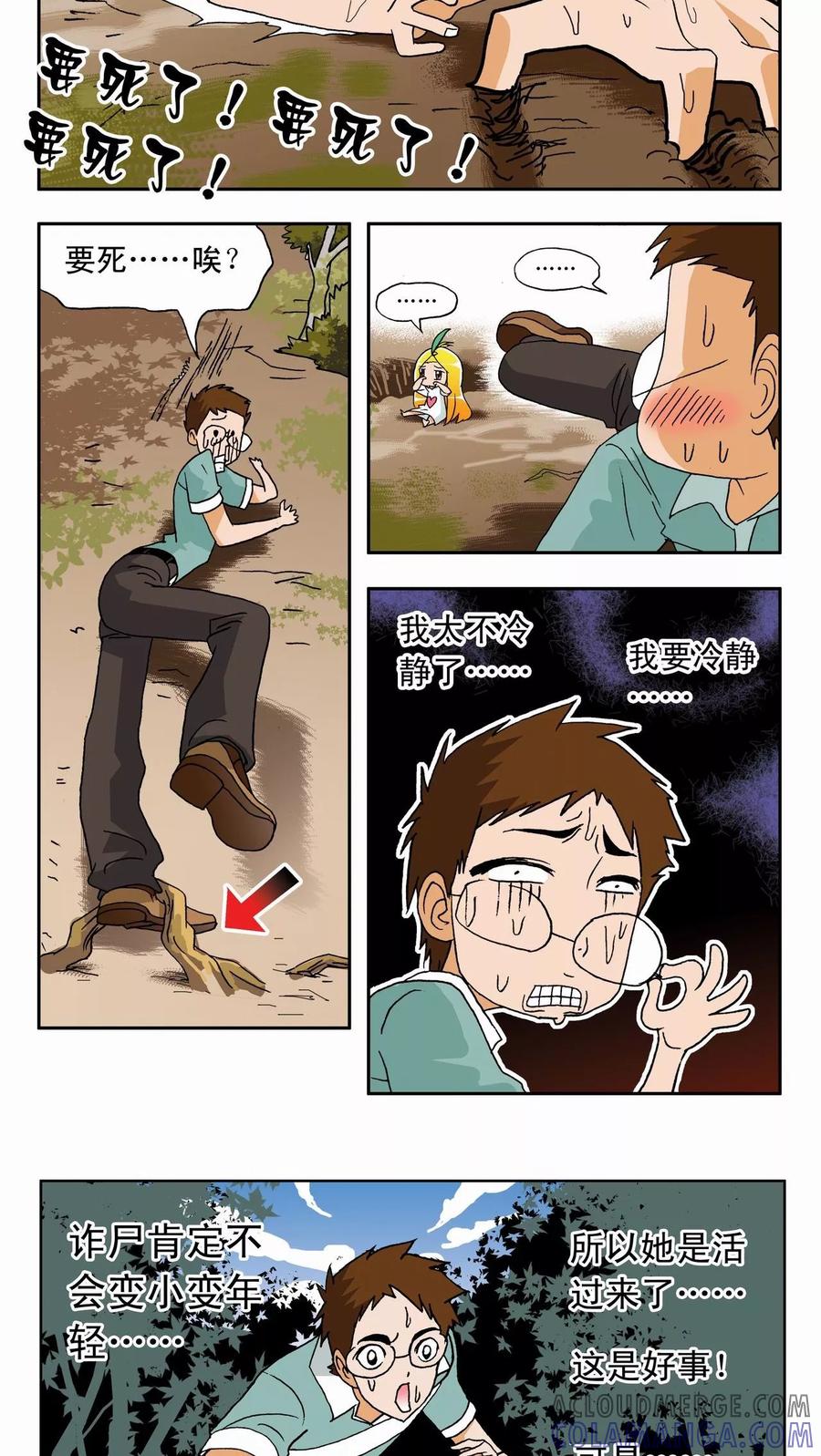 第29页