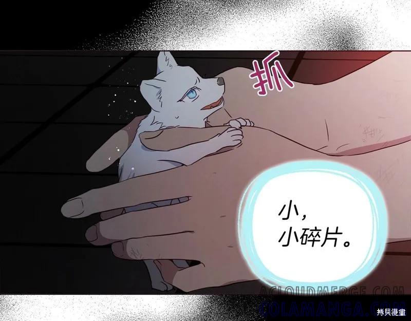 第121页