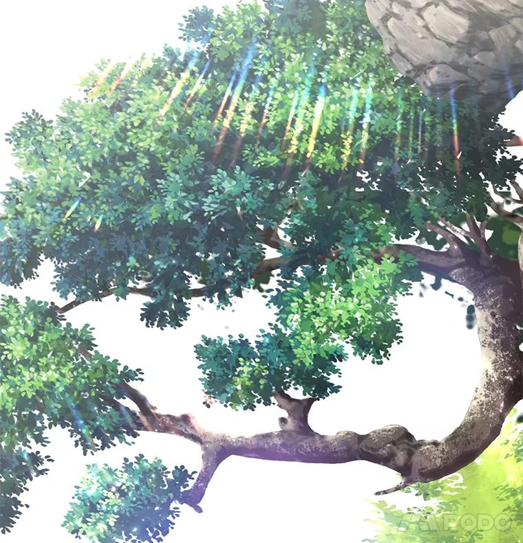 第55页