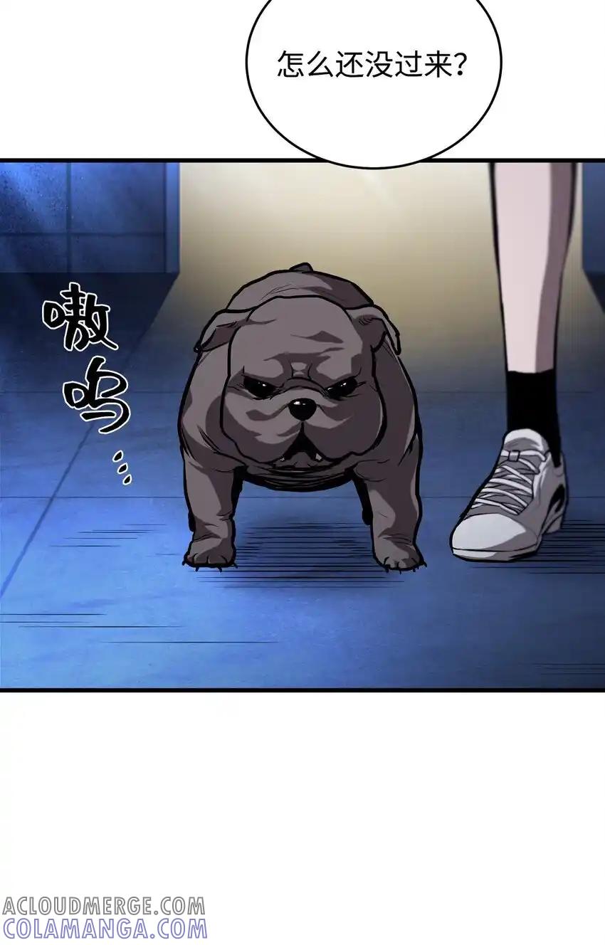 第79页