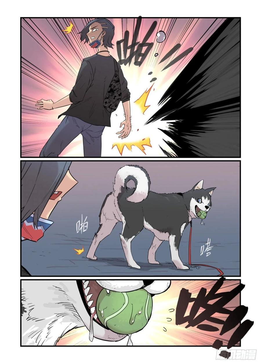 第55页