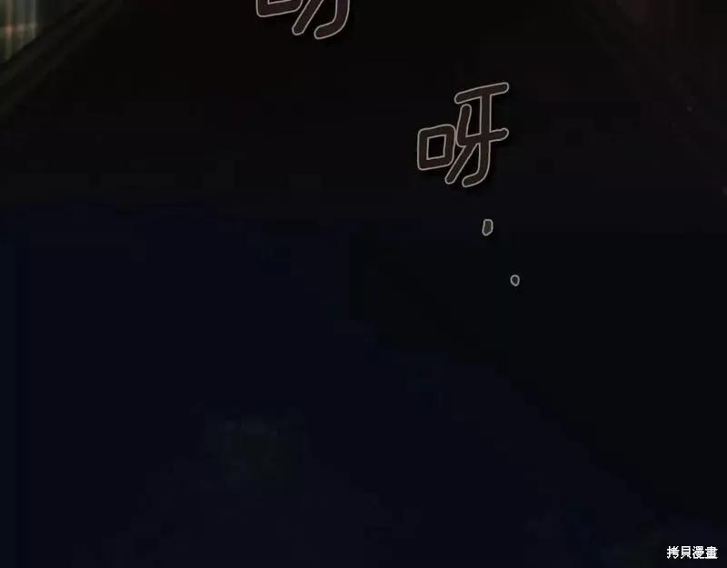 第210页