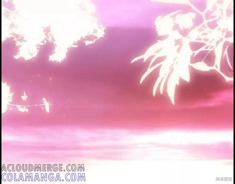 第217页