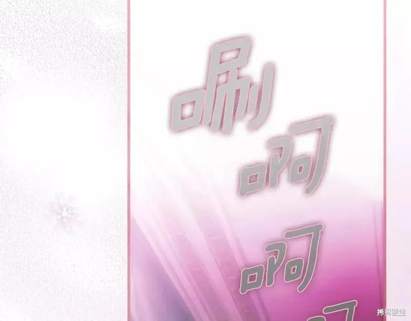第224页