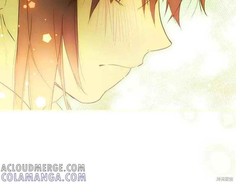 第221页
