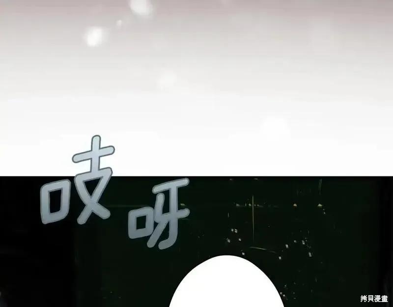 第211页