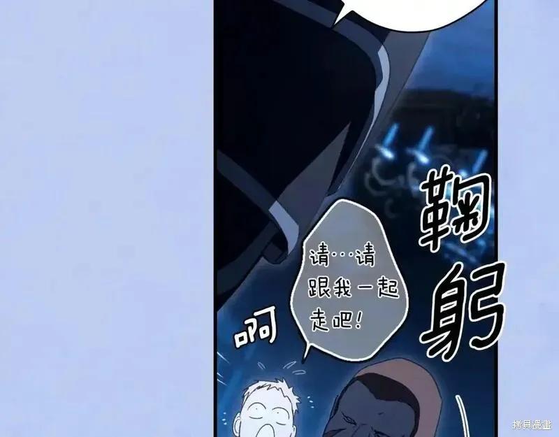 第231页