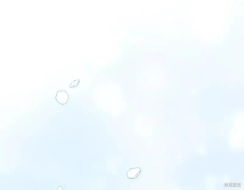 第258页