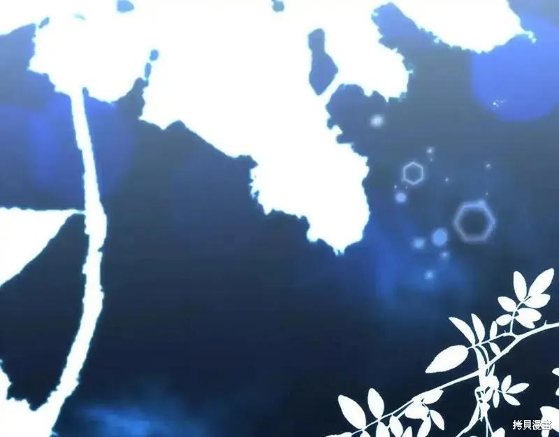第260页