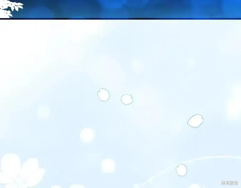 第262页