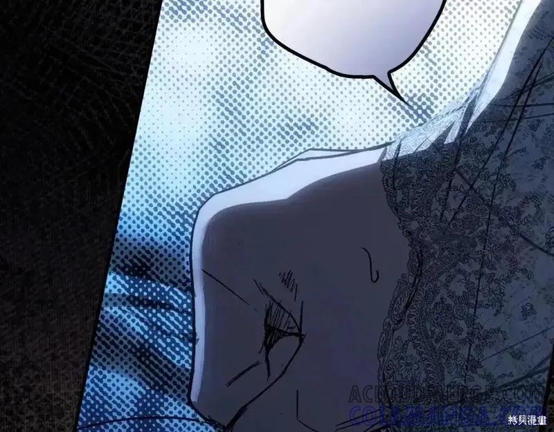 第205页