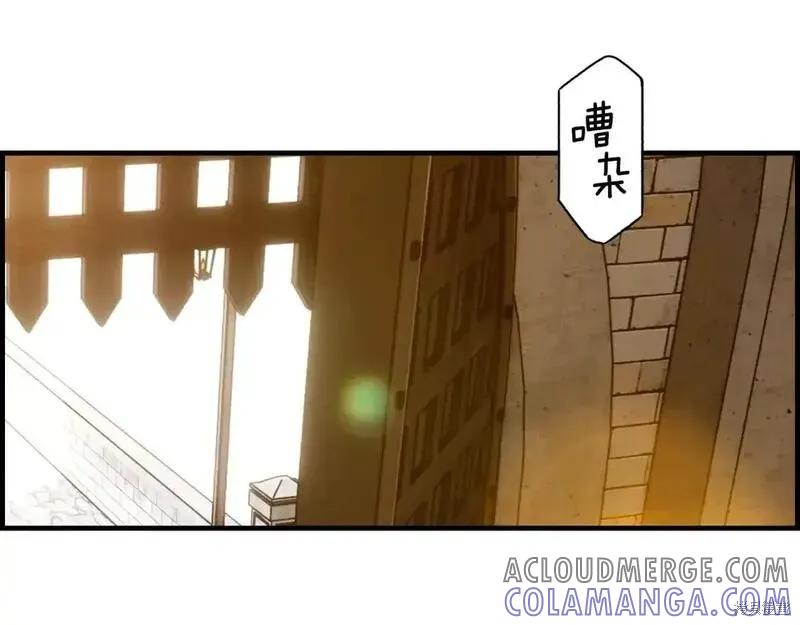 第213页
