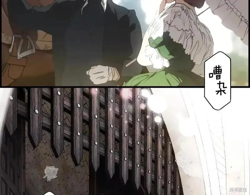 第215页