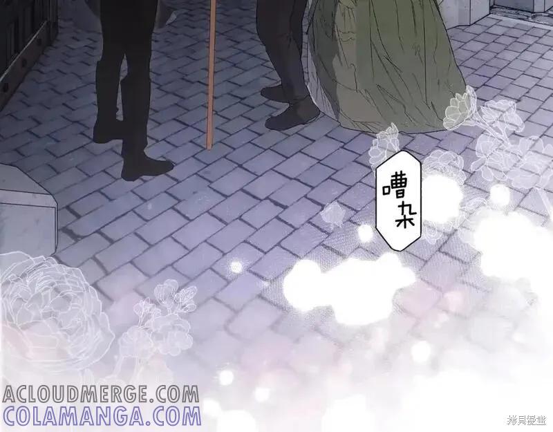 第217页