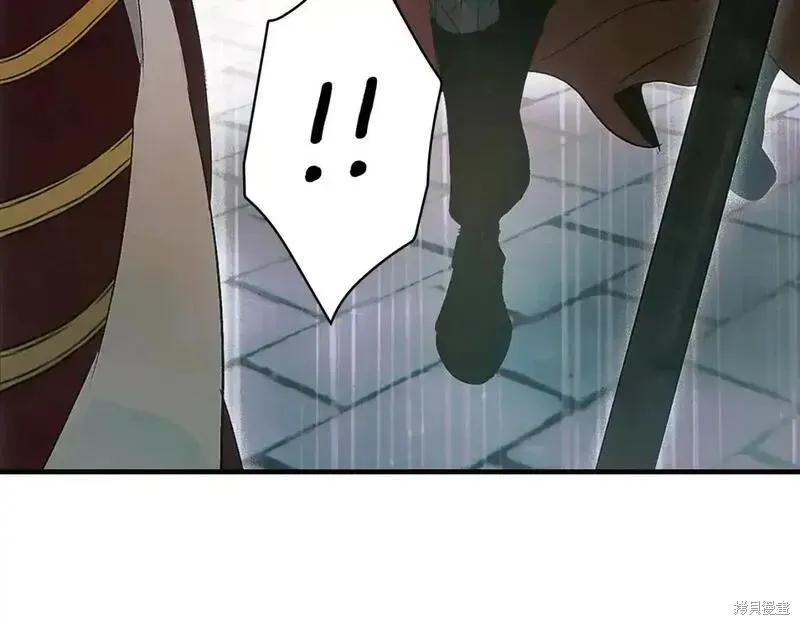 第238页