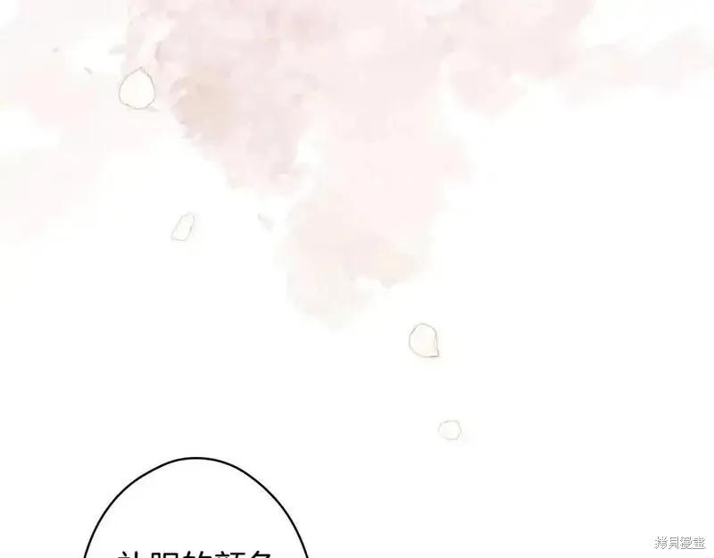 第206页