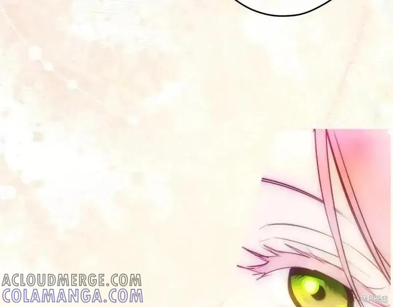 第221页