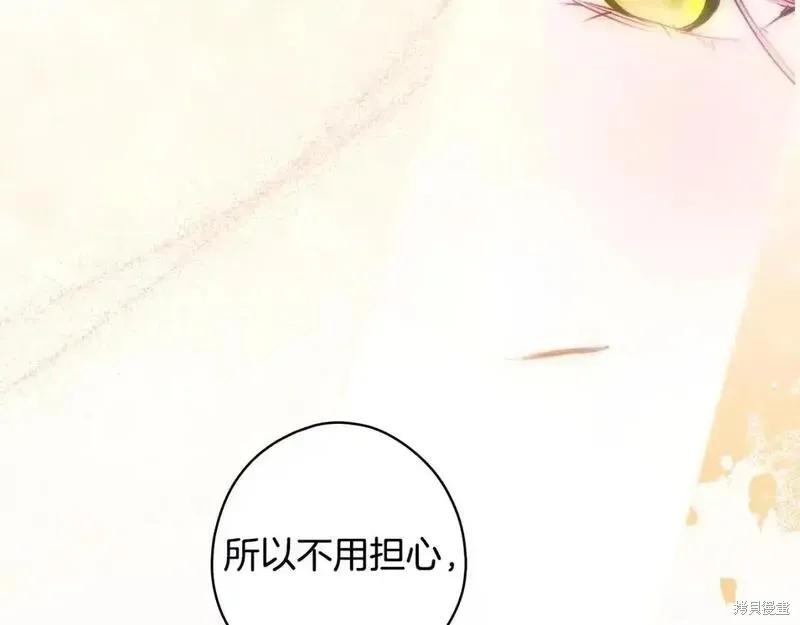 第222页