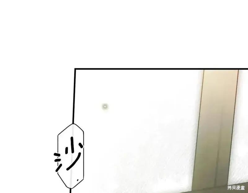 第231页