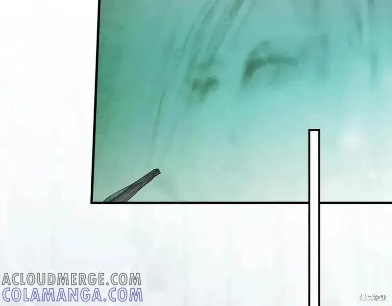 第233页