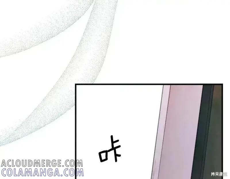 第253页