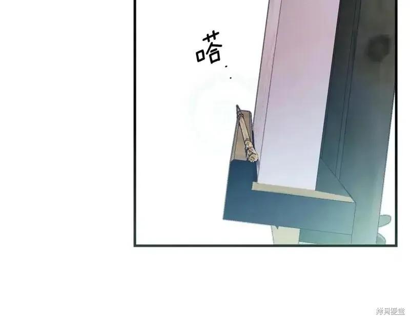 第254页